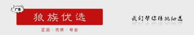 单镜头还有没有必要保留？AYX爱游戏单反置换微(图1)